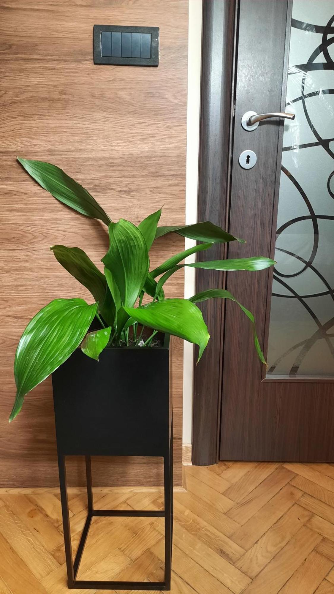 Stan Na Dan Apartman D Lux Jacuzzi Kragujevac Ngoại thất bức ảnh