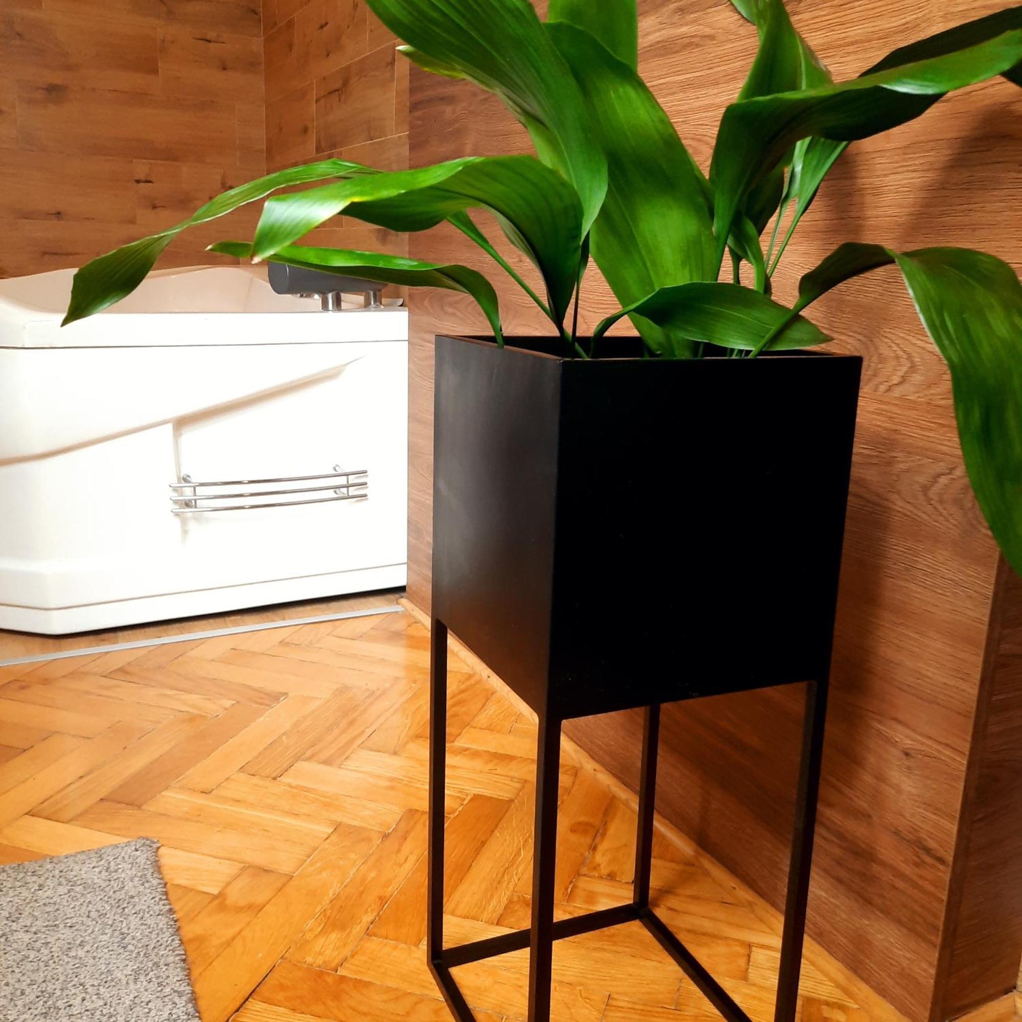 Stan Na Dan Apartman D Lux Jacuzzi Kragujevac Ngoại thất bức ảnh